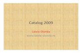 Catalog Lalele 2009