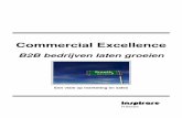 Commercial excellence - article / white paper