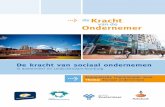 De Kracht van Vlietstreek-Zoetermeer 2011, volledig onderzoek