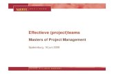 Presentatie Effectieve Projectteams Avd Poel