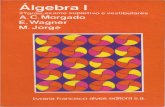 Morgado Algebra I.pdf