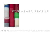 Parafe portfolio 2013