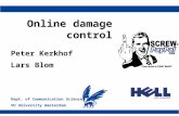 Online damage control