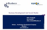 Business development met social media sysqa