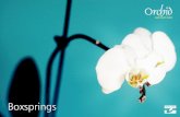 Velda Carlton Orchid Boxspringcollectie