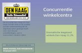 Concurrentie winkelcentra (The hague)