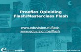 Webinar Proefles Flash / Masterclass Flash / Action Scripting