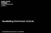 Handleiding CCAA portal