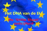 Het DNA van de Europese Unie