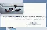 SIDI Extended Bank Accounting & Treasury