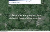 Bert Mulder over 'Culturele organisaties als katalysator in een vitale samenleving'