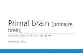 Hoe het primaire brein ons (online) beïnvloedt?