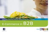 Gastcollege beeckestijn, digital marketing & e-commerce, E-Commerce in B2B