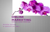 Online marketing voor het hoger (ict)onderwijs