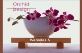 Orchid  Design