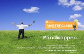Masterclass mindmappen Jeroen Swiers