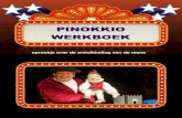 Pinokkio werkboek van schoolgoochelaar Aarnoud Agricola met werkbladen