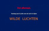 Wilde Luchten - Vu