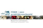 FRBR in Open Vlacc (Rosemie Callewaert)