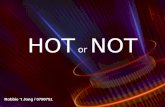 Hot Or Not Kwartaal 1 Holograpics