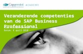 Veranderende competenties van de sap business professional v100