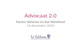 20101216 Advocaat 2.0 Le Tableau