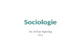 Les 5 - Sociologie