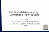Turnhout: Veiligheidsbevraging Turnhoutse winkeliers (commissie 5, 24 april 2013)