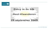 Daisy In De Bib   Oost Vlaanderen