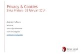 20140228 Sirius Friday seminarie   Privacy & cookies