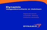 Corporate Brochure Dynamis 2012