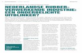 Nederlandse rubberindustrie: een onderbelichte uitblinker? (april 2013)