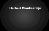 Herbert Blankesteijn: Hoe kom ik in de krant? - LEWIS Catch-Up Kennisforum 2012