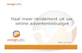 Meer rendement uit uw online budget - Egan van Doorn (OrangeValley)