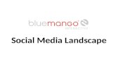 Social media landscape quickscan