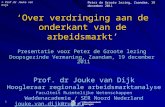 Prof. dr. Jouke van Dijk