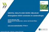Mental health and work in Belgium   2013