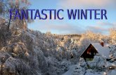 Fantastic Winter