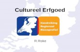 René Roke, Handreiking Regionaal Risicoprofiel