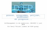 DIEP: proces, programma, prijzen, problemen en prognose