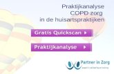 Presentatie praktijkanalyse copd partner in zorg 2011