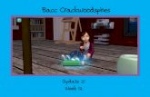 Bacc Crackwoodspines; update 21 - week 12