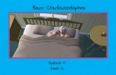 Bacc Crackwoodspines update 17- week 12