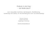 Ddw 2013 robots in de kas   def