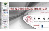 Michiel van osch   teleoperated service robot rose