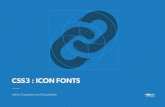 CSS3 : Icon Fonts