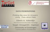 Edwin A. Valentijn Prof Astronomical Information Technology Target- OmegaCEN – Kapteyn University of Groningen e-science platform 29 October2013 Target.