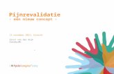 Pijnrevalidatie - een nieuw concept - 15 november 2013, Utrecht Ernst van der Wijk ErasmusMC ‘
