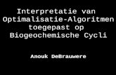 Interpretatie van Optimalisatie-Algoritmen toegepast op Biogeochemische Cycli Anouk DeBrauwere.
