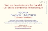 Wet op de electronische handel Loi sur le commerce électronique AGORIA Brussels, 11/06/2003 Thibault Verbiest Advocaat aan de balies van Brussel en Parijs.